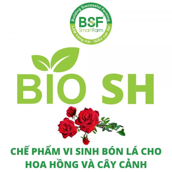 Chế phẩm vi sinh bón lá cho hoa Hồng - Chế Phẩm Sinh Học BSF - Công Ty Cổ Phần BSF Smart Farm